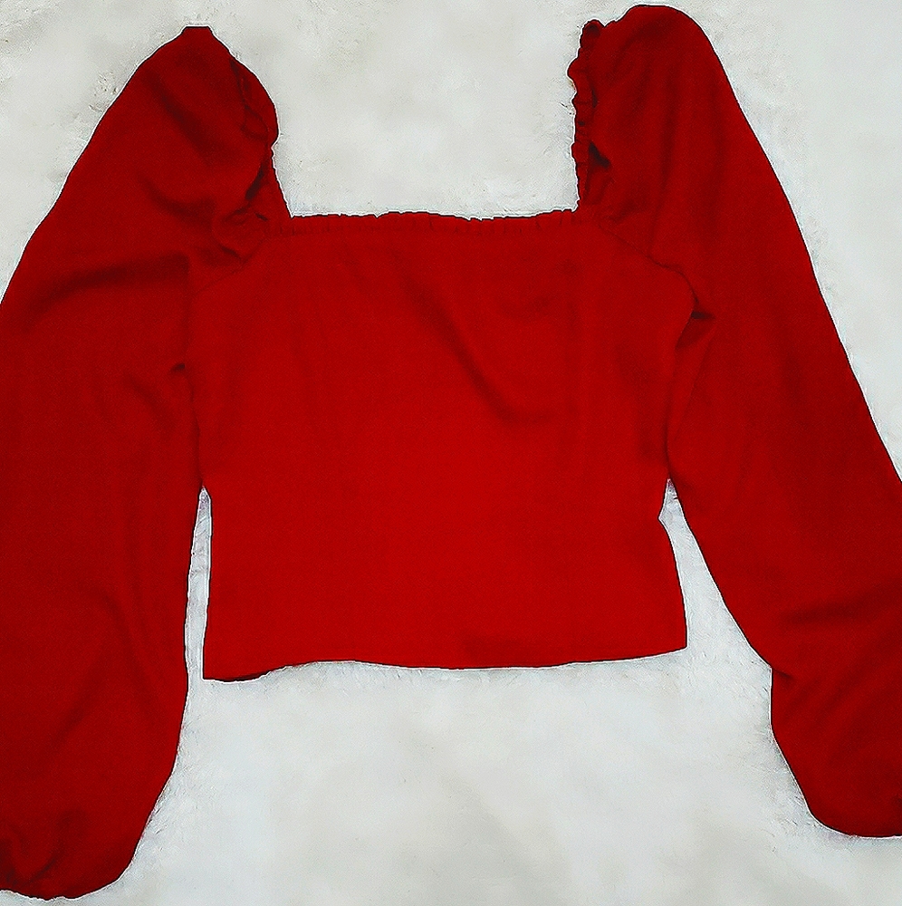 Forever 21 🟨Smocked Chiffon Long Sleeve Crop Top